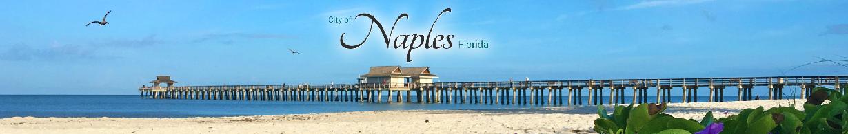 city_of_naples